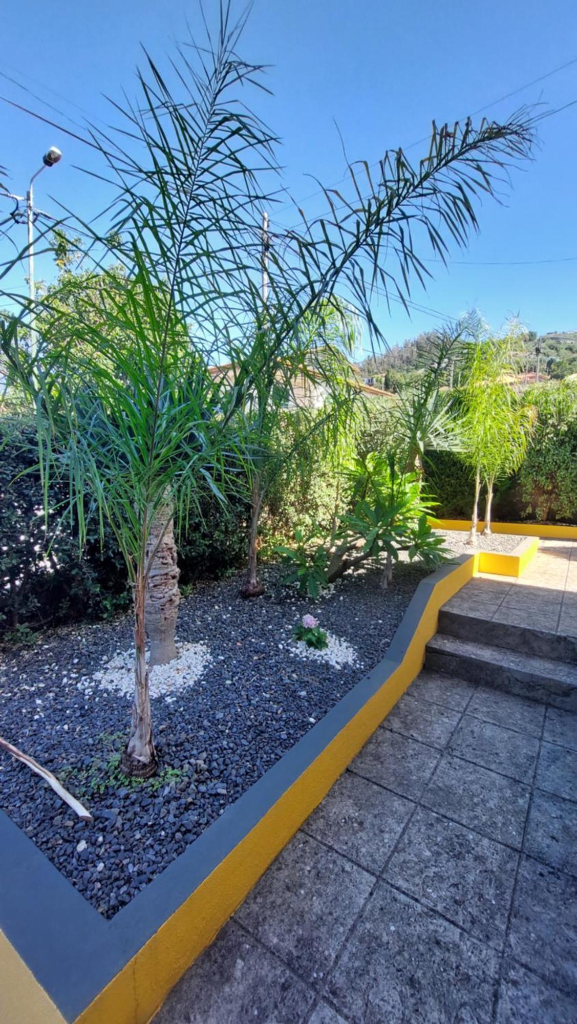 Villa Strelitzia Funchal  Exterior foto